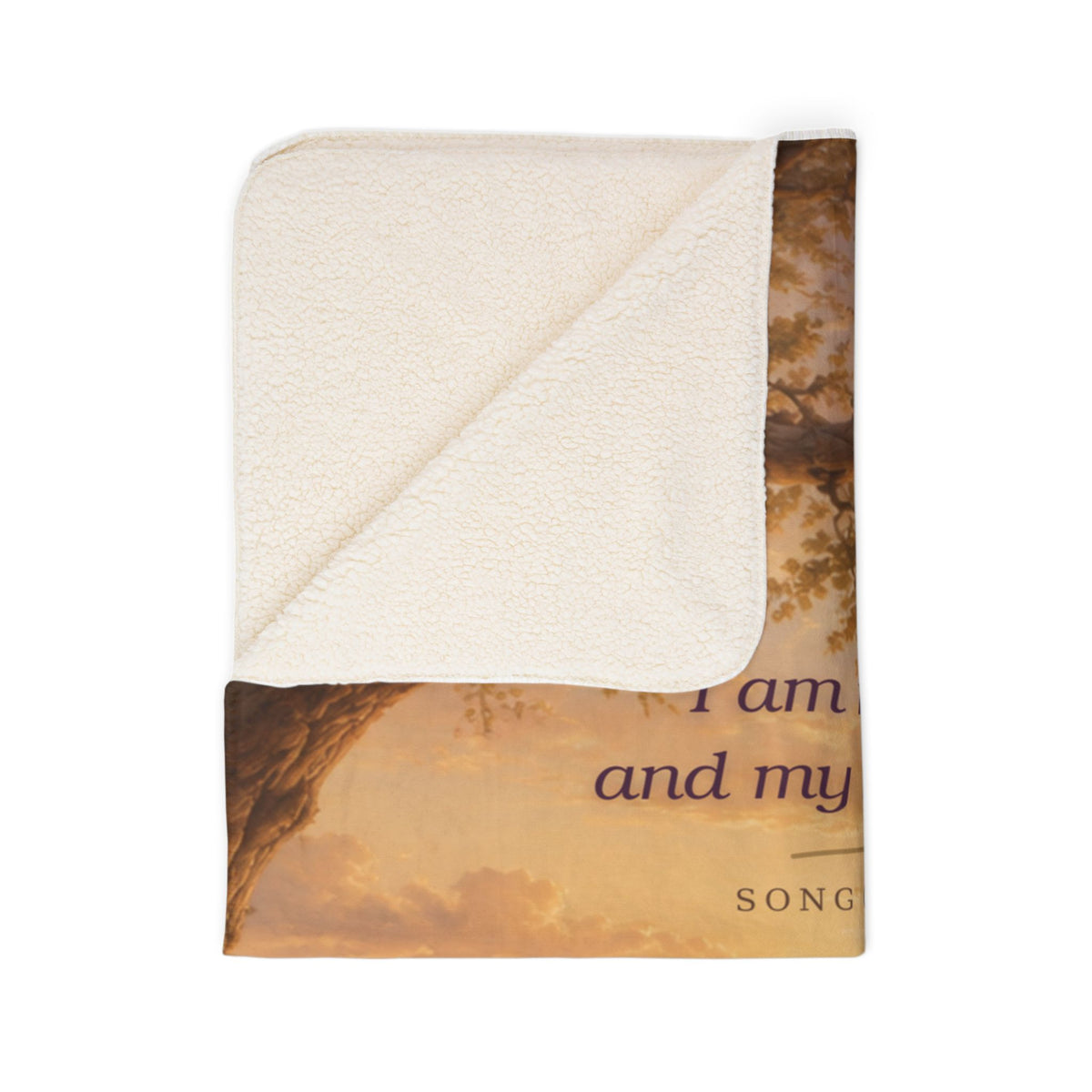 Fleece Sherpa Blanket