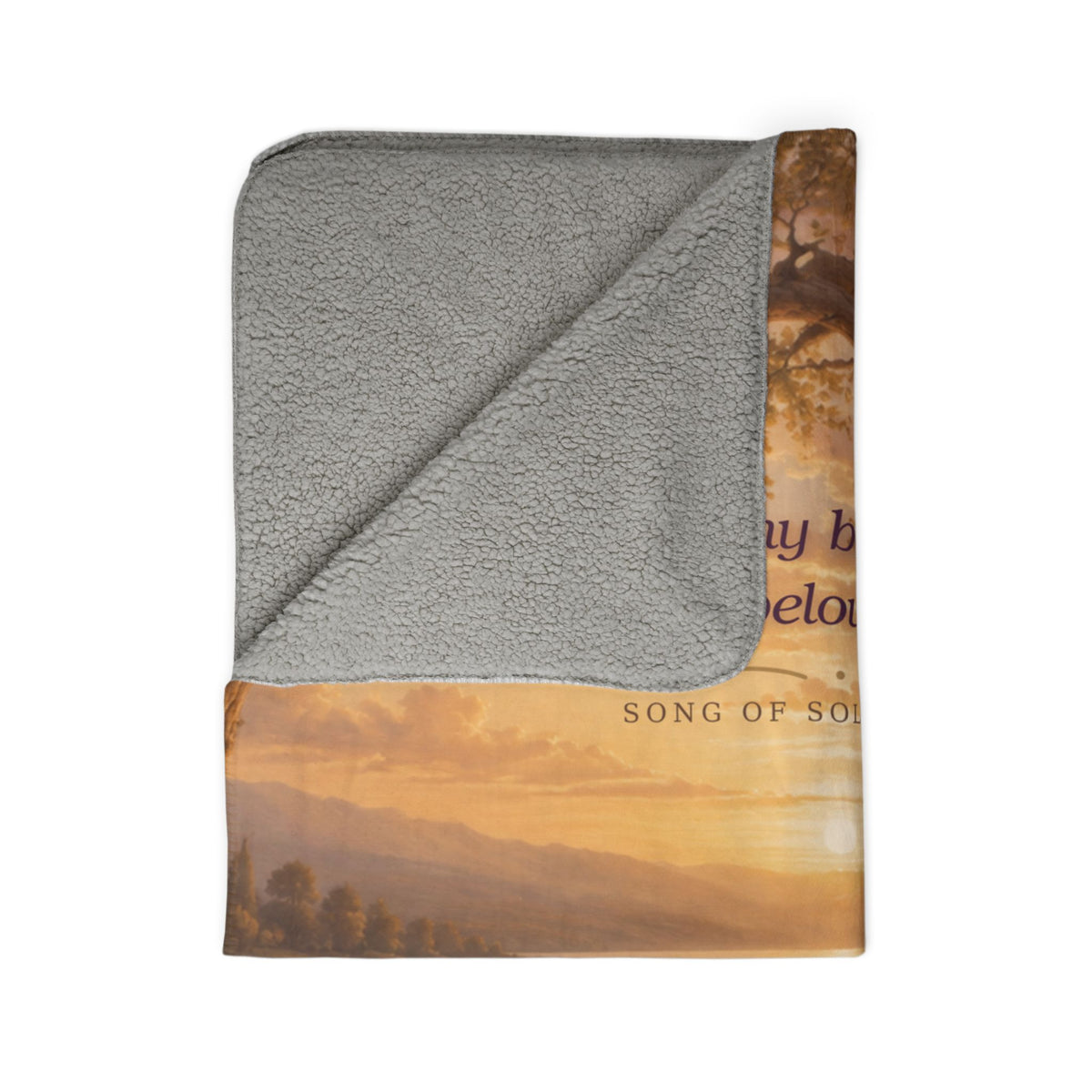 Fleece Sherpa Blanket