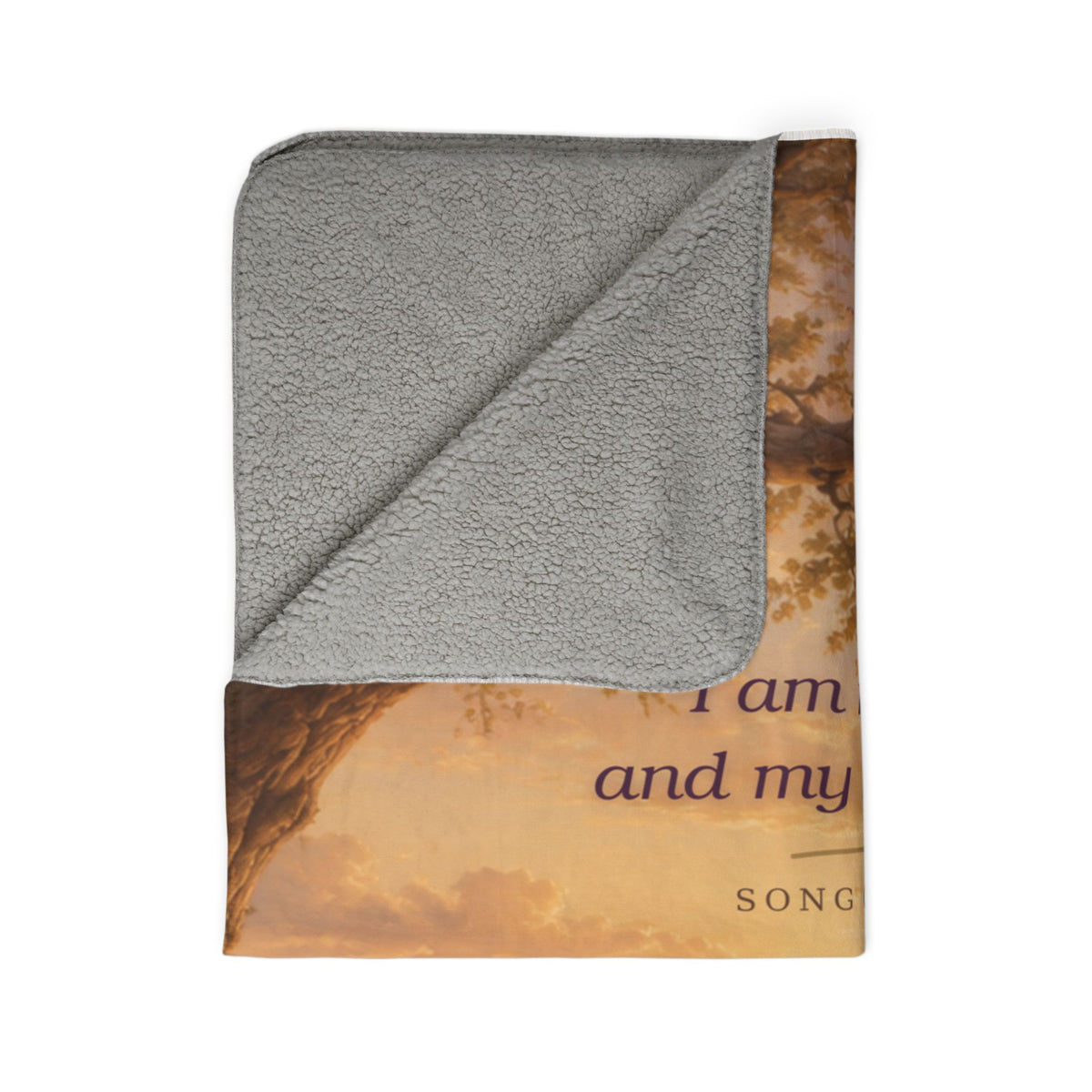 Fleece Sherpa Blanket