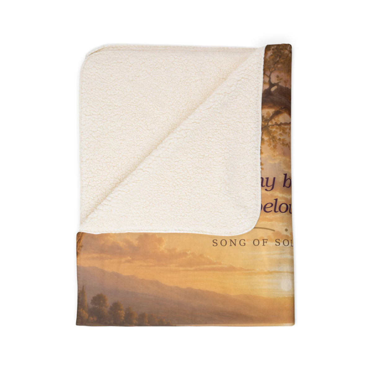 Fleece Sherpa Blanket